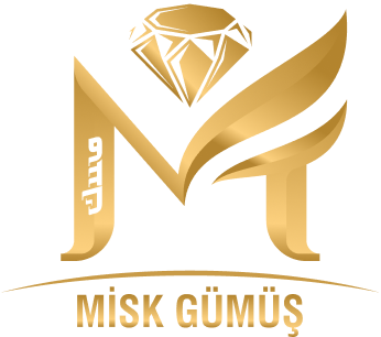 KLİPSLİ KÜPE (DELİKSİZ)